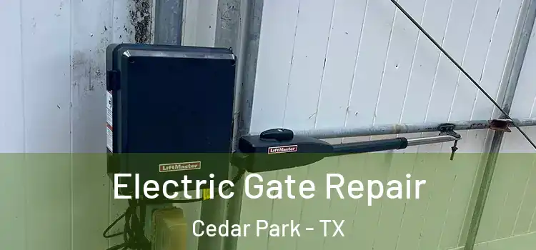 Electric Gate Repair Cedar Park - TX