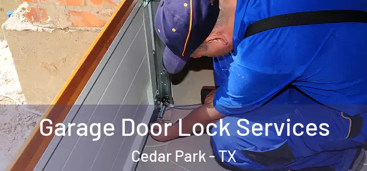 Garage Door Lock Services Cedar Park - TX