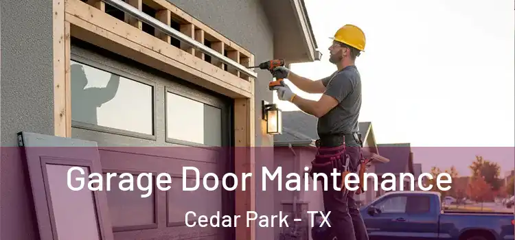 Garage Door Maintenance Cedar Park - TX