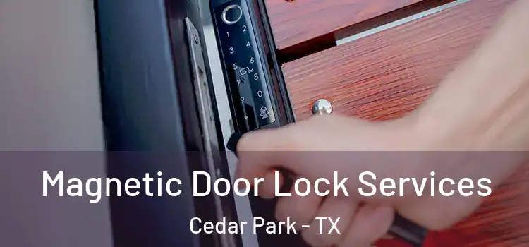 Magnetic Door Lock Services Cedar Park - TX
